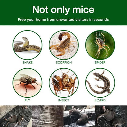 🔥Household Mon-woven Strong Trap Sticky Mouse Blanket💪Strong Glue, special smell attracts and is harmless to human body🐁