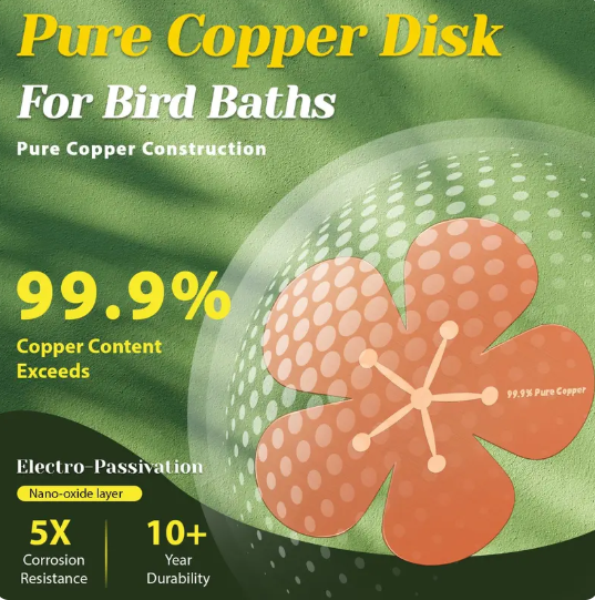 ⏳Time-Limited Special⏰Natural Algae Inhibitor for Bird Baths & Fountains