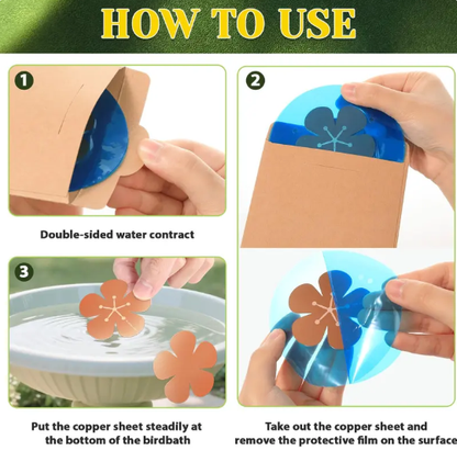 ⏳Time-Limited Special⏰Natural Algae Inhibitor for Bird Baths & Fountains