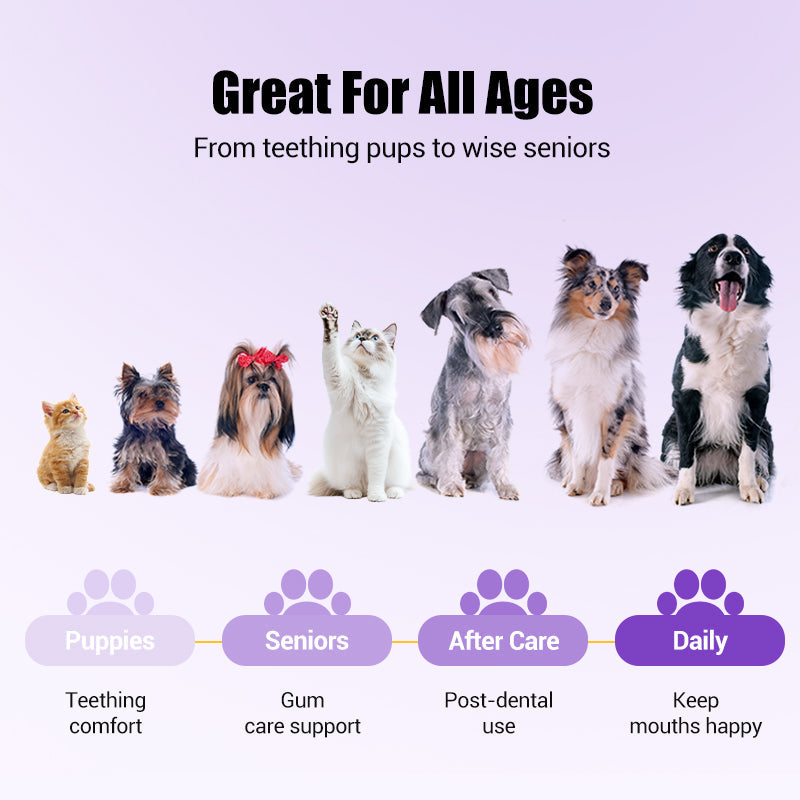 🔥 LAST DAY -BUY 1 GET 1 FREE 🔥 Pet Oral Repair Gel Toothbrush 🐱🐶
