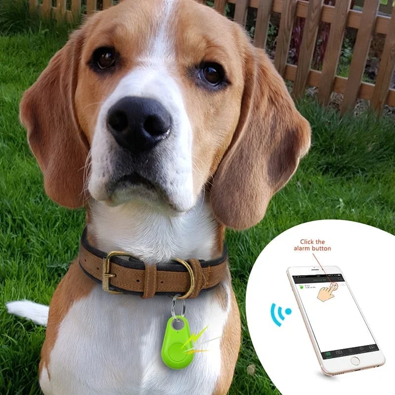 🔥OFFIntelligent tracking locator
