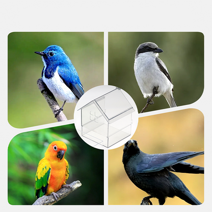 Pull-Out External Parrot Feeder✨