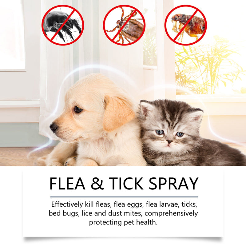🥳2026 HOT SALE🥳🍃🐾 50% OFF! Natural Flea & Tick Spray – Peppermint & tea tree oil, safe for cats & dogs. Soothes itchy skin, no harsh chemicals. Just spray & go. A gentle pest solution. 🌿✨