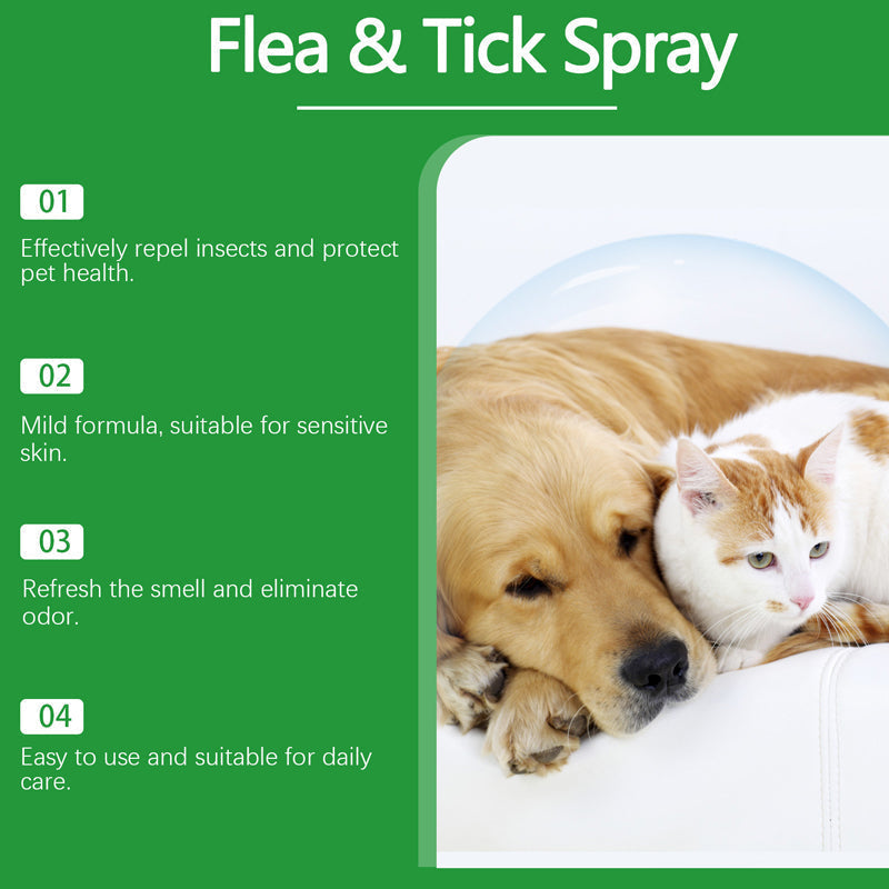🥳2026 HOT SALE🥳🍃🐾 50% OFF! Natural Flea & Tick Spray – Peppermint & tea tree oil, safe for cats & dogs. Soothes itchy skin, no harsh chemicals. Just spray & go. A gentle pest solution. 🌿✨
