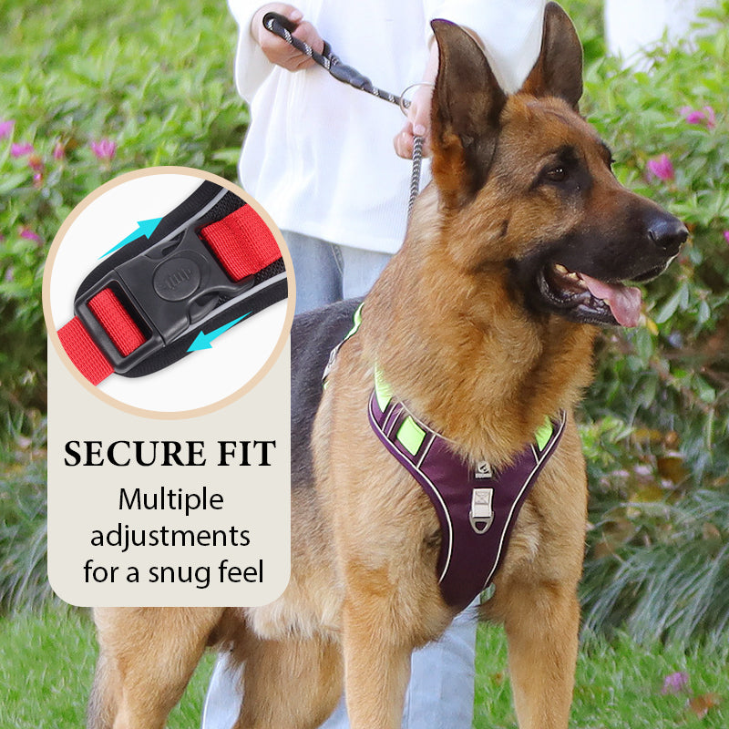 🐶 50% OFF NOW! 🛡️ No Pull Dog Harness with Leash & LED Collar – Secure & Comfortable ✨