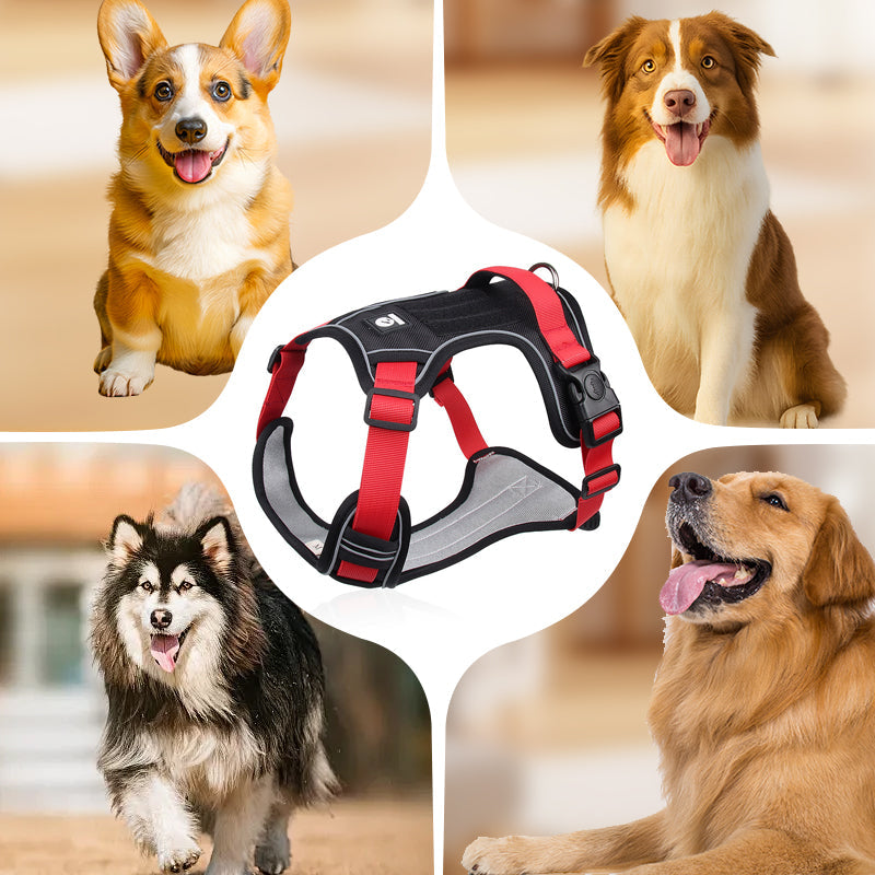 🐶 50% OFF NOW! 🛡️ No Pull Dog Harness with Leash & LED Collar – Secure & Comfortable ✨