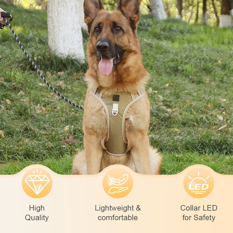 🐶 50% OFF NOW! 🛡️ No Pull Dog Harness with Leash & LED Collar – Secure & Comfortable ✨