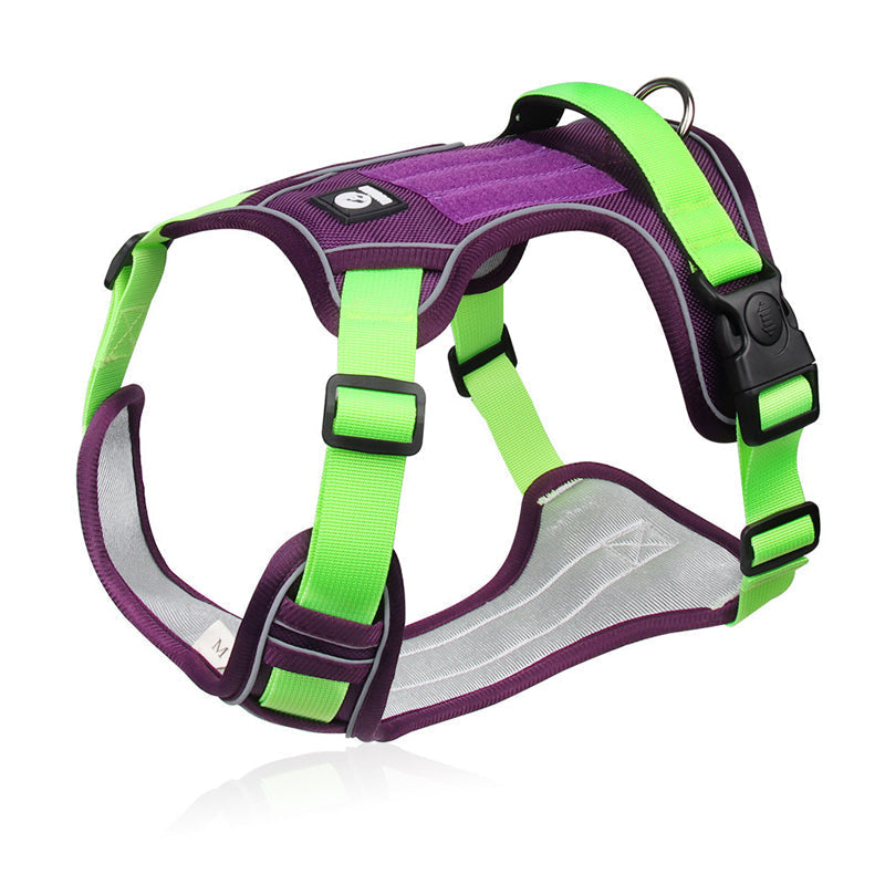 🐶 50% OFF NOW! 🛡️ No Pull Dog Harness with Leash & LED Collar – Secure & Comfortable ✨