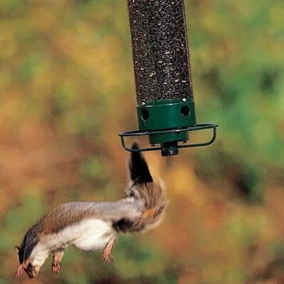 💥New Spring 2026💥 Squirrel-Proof Bird Feeder