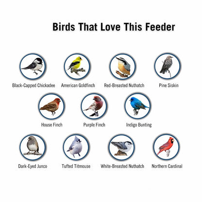 💥New Spring 2026💥 Squirrel-Proof Bird Feeder