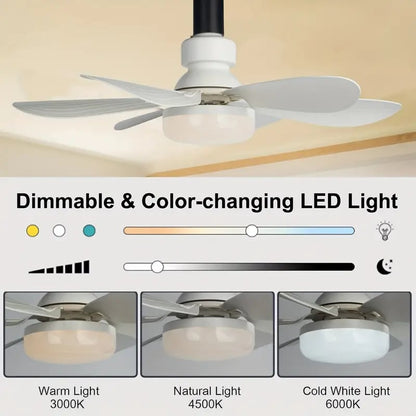 🔥50%OFF🎁2-IN-1 PORTABLE CEILING FAN & LIGHT with Remote Control