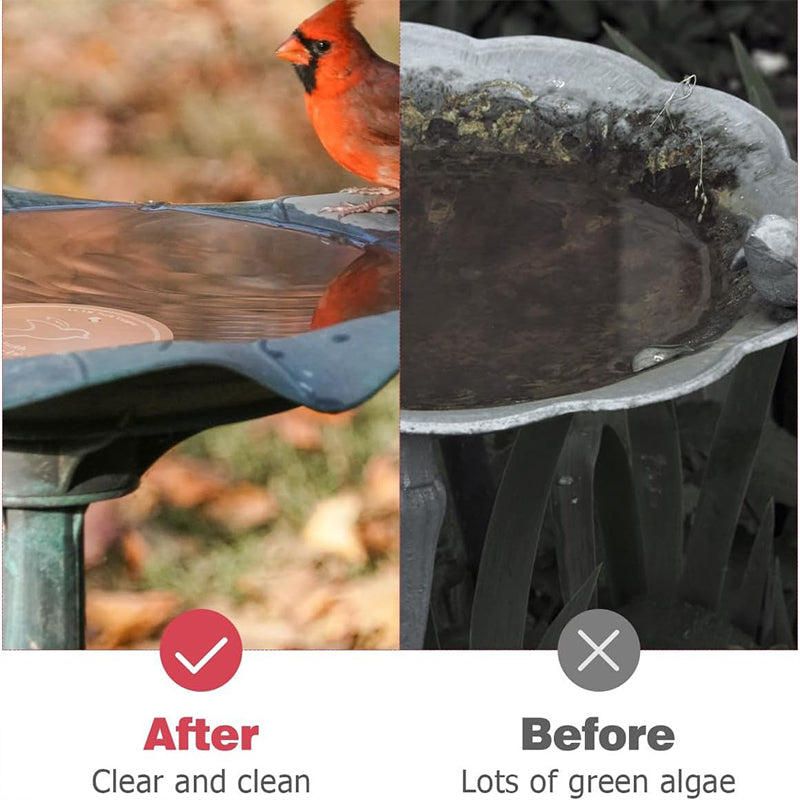 ⏳Time-Limited Special⏰Natural Algae Inhibitor for Bird Baths & Fountains